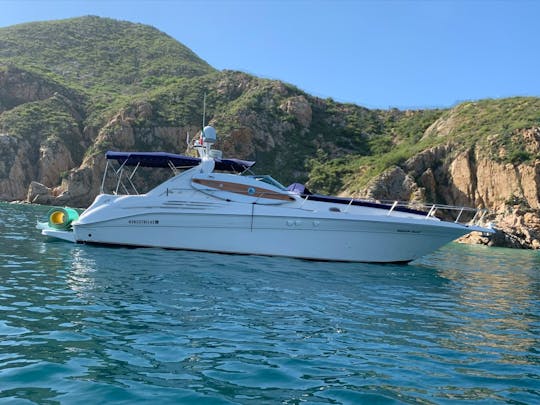 Luxury Yacht Sea Ray 250 Sundancer in Cabo San Lucas