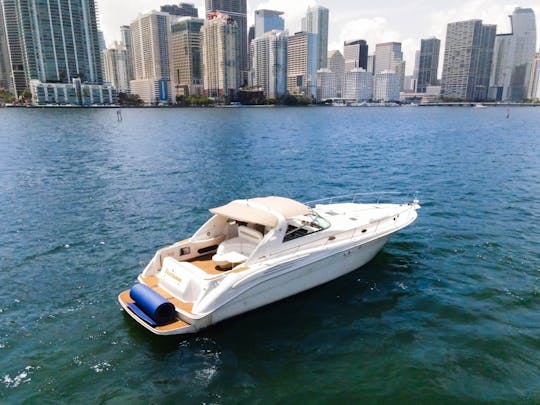 Location de yacht privé SeaRay de 50 minutes — Heure gratuite et promotions gratuites sur le jet ski en semaine ! 