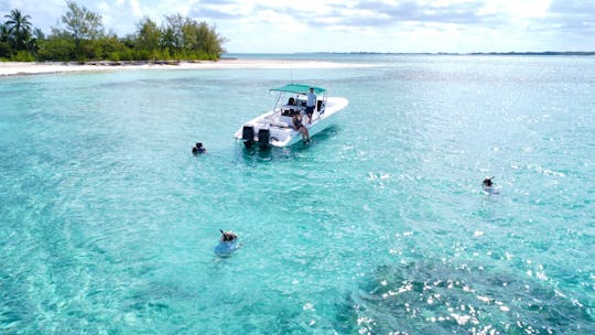 Explore the beautiful islands of the Bahamas