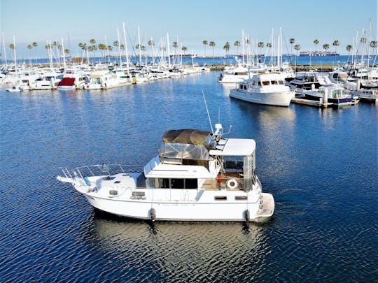 Yacht Carver de 38 pieds à Los Angeles !