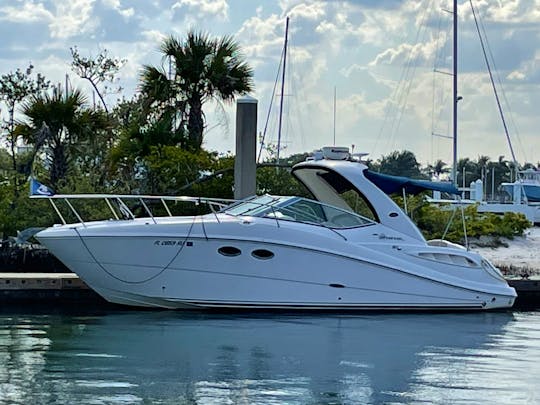 31' Sea Ray Sundancer Fun Get-Away Explore the Waters In Comfort and Style