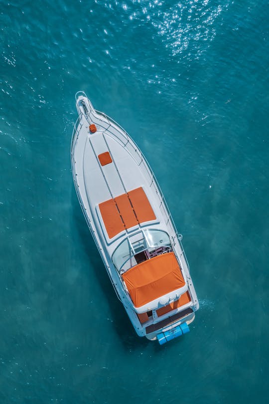 Expérience en yacht à moteur Sea Ray de 45 pieds à Miami