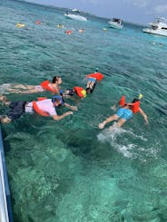 Swimming Pigs, Snorkeling, Turtles on 28ft Mako Boat