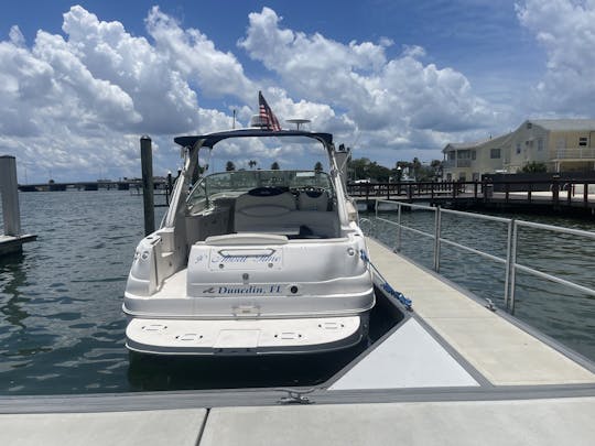 Sea Ray 340 Clearwater Beach Charter