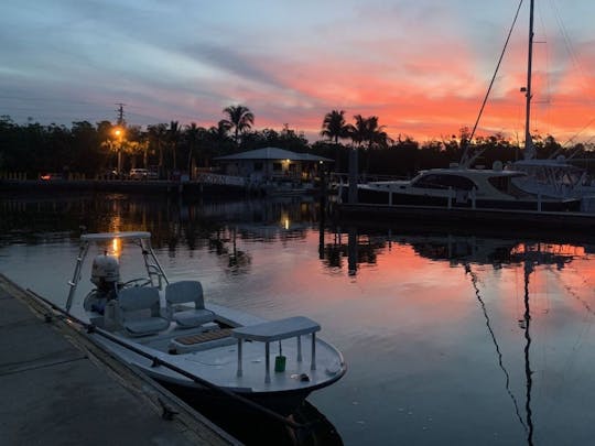 Naples Tour Private Beaches and Mangrove Tunnels