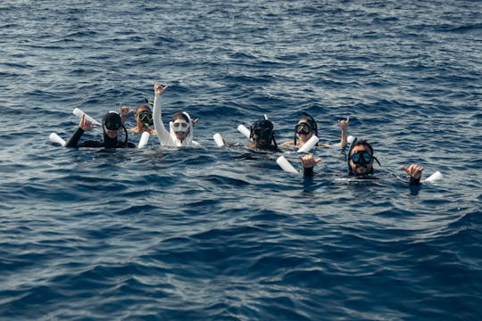 Explore Kona on a Private Custom Charter