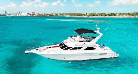 Luxury private yacht charter in Aruba 