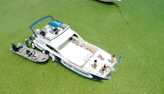 Catamarán a motor privado 