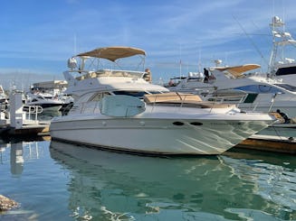 45 Sea Ray Flybridge available for rent in Cabo San Lucas 