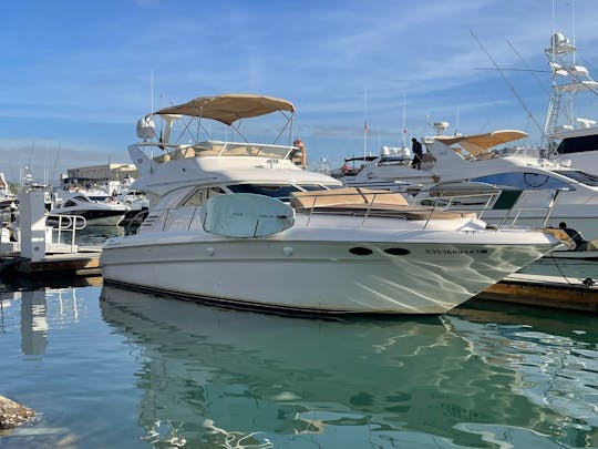 45 Sea Ray Flybridge available for rent in Cabo San Lucas 