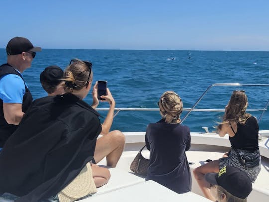 Dolphin watching on a yacht with snacks and drinks 