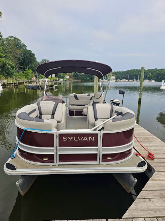 2021 24' Sylvan L3 DLZ Pontoon Boat 