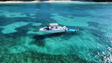 Snorkeling & Boat Experience with Lunch and Drinks!