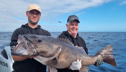 Discover Your Angling Skills, Go Fishing in Paihia, New Zealand