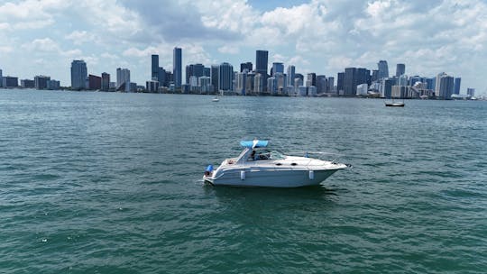 Visite de la ville de Miami en yacht privé Monterey de 31 pieds, vue magnifique sur la rivière, sans frais supplémentaires.