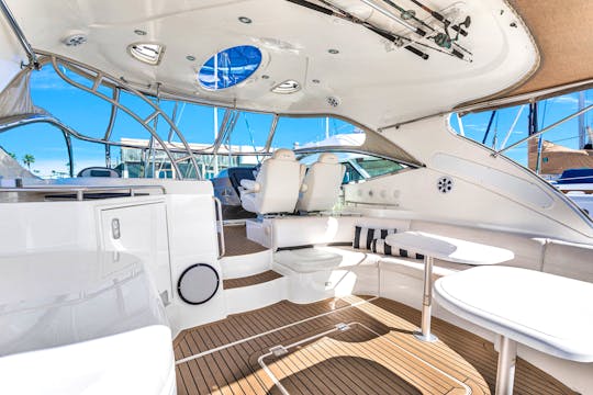 54' BEAUTIFUL CRUISERS EXPRESS YACHT WITH EVERYTHING YOU NEED FOR A PERFECT DAY!
