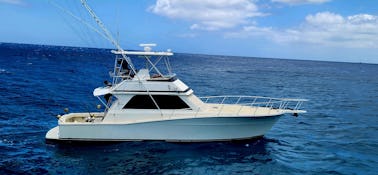 Fishing Adventures Aboard Our Fully-Renovated 48-Foot Viking Sport fisher