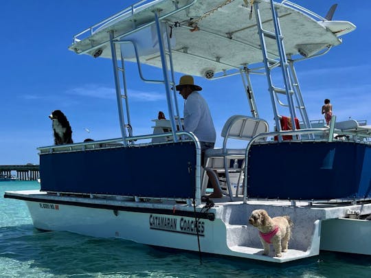  CRAB ISLAND / Dolphins / Paddleboard ADVENTURE via a Private Captained Pontoon