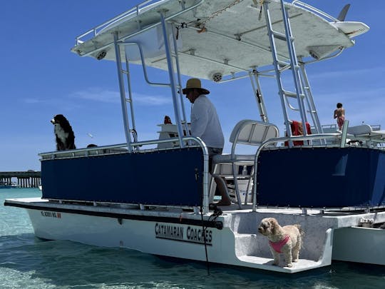  CRAB ISLAND / Dolphins / Paddleboard ADVENTURE via a Private Captained Pontoon