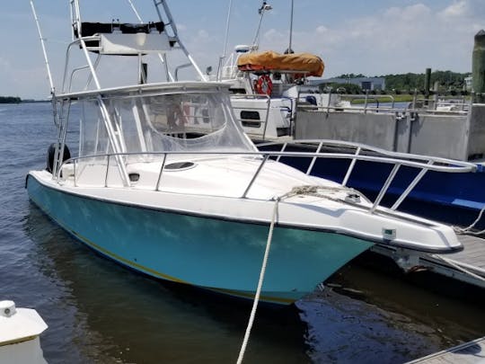 Charte de pêche sur console centrale Mako de 37 pieds à Southport, en Caroline du Nord