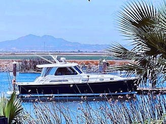 Naviguez dans le Delta avec Captain Ray ! Yacht Sabre de 42 pieds pour des excursions fluviales.