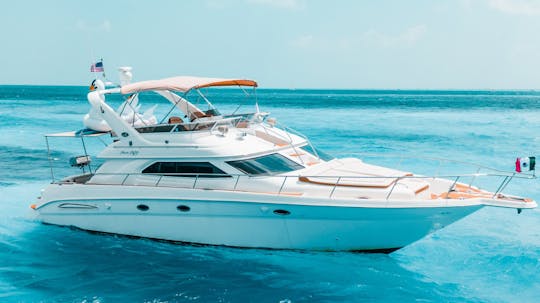 Deal of the Week! 50' Sea Ray Yacht for Rent in Cancun, Mexico.