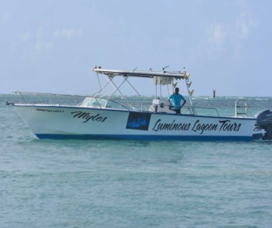 Excursión privada a la luminosa laguna: Falmouth, Jamaica