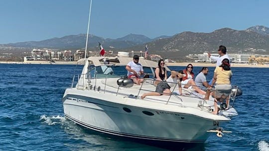 Aluguel de iates Sea Ray Motor de 42 pés em Cabo San Lucas, Baja California Sur