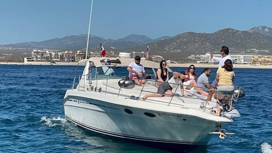 Location de yacht à moteur Sea Ray de 42 pieds à Cabo San Lucas, Baja California Sur