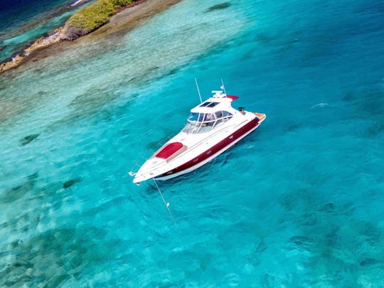 Premium 47ft Exclusive Yacht Charter Rental Aruba - Eden Luca II