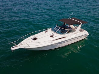 Yate Sea Ray de 32 pies para alquiler diario de hasta 10 personas