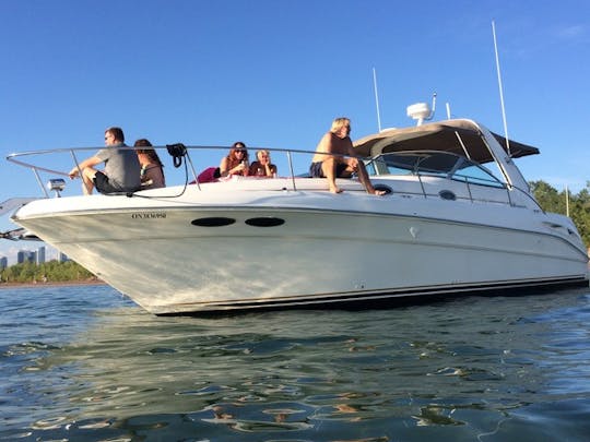 SeaRay Sundancer 36 pés Captained Yacht Charter em Toronto!