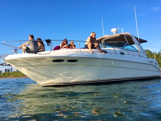 SeaRay Sundancer 36ft Captained Yacht Charter in Toronto!