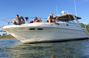 SeaRay Sundancer 36ft Captained Yacht Charter in Toronto!