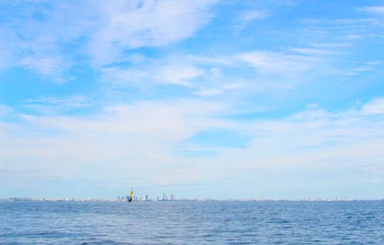 Rental Boat at Tateyama: Enjoy fishing at one of the best scenery of the country