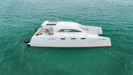 Catamarán Stealth Power de 38 pies - Faraway Hot Chilli