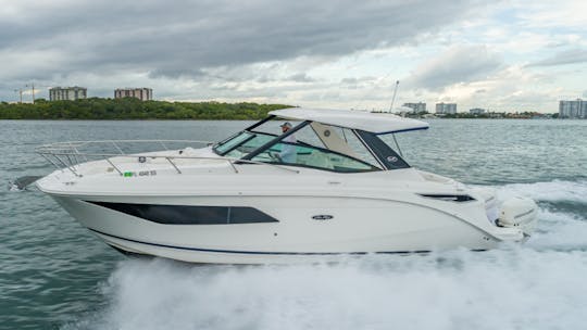 "Belle of the Seas" 32' Sea Ray Sundancer