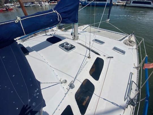 Alquiler de catamarán en la isla de Holbox para hasta 20 personas