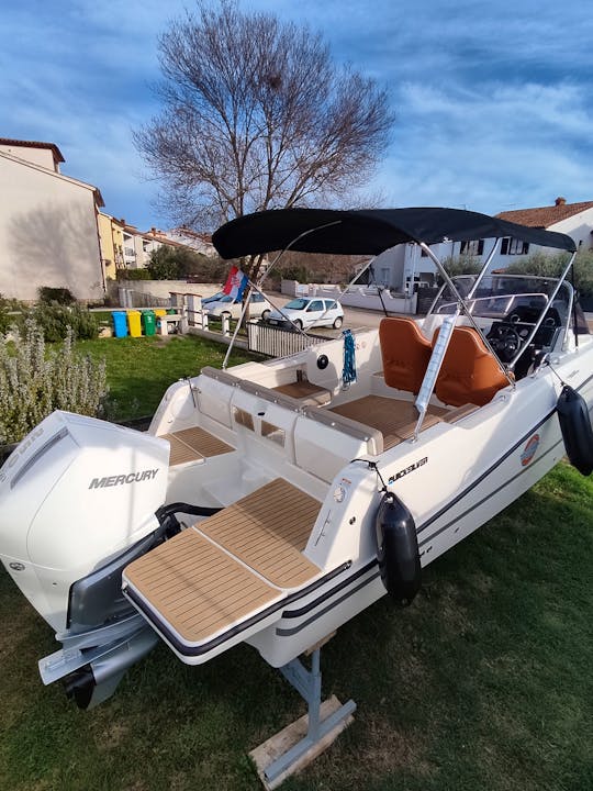 Quicksilver Active 755 Sundeck with Mercury 250 V8, Year 2024.
