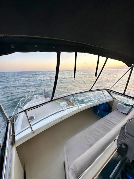 The 38-Foot Sea Ray Express Cruiser Yacht Experience