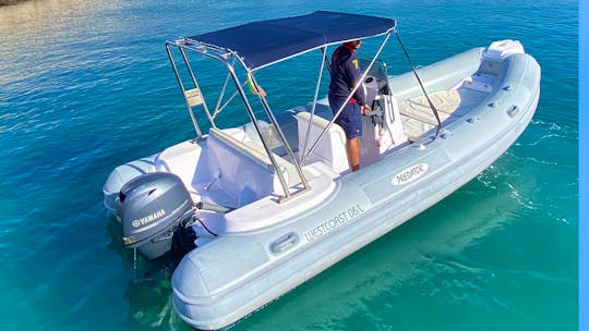 Rigid Inflatable Boat Predator 5.7m 19ft for rent in Forio, Ischia