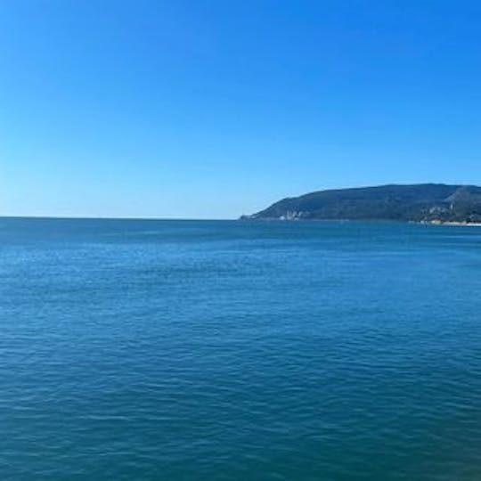 Excursion d'une journée - navigation à Tróia, Setubal et Arrábida
