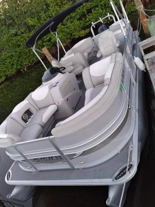 luxury 25'ft pontoon for Sandbar & Dolphin and Sunset  tours. Dog friendly 