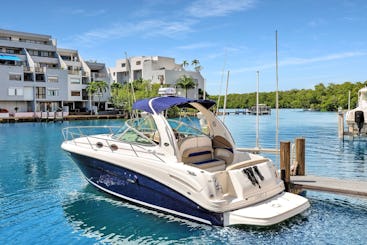 Navegue com nosso luxuoso iate Sea Ray 300!