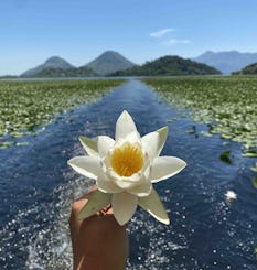 シュコダー湖観光：モンテネグロの国立公園を探索