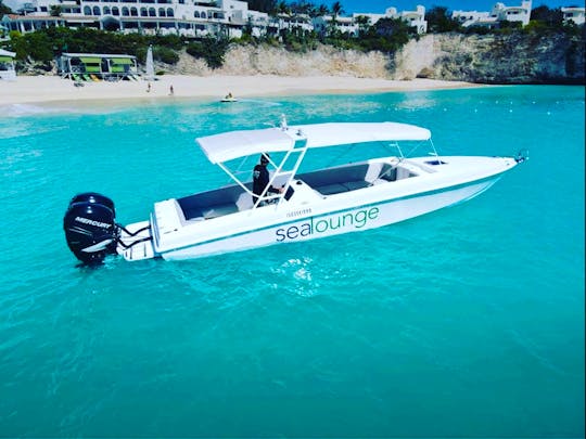 Charter our 34 ft Apache performance in Sint Maarten or Anguilla