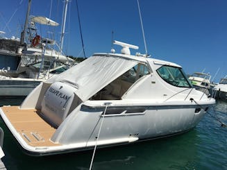 Tiara Motor Yacht Private Charter - 4 Hour Beach Day with Turtles