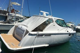 Tiara Motor Yacht Private Charter - 4 Hour Beach Day with Turtles