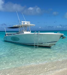 Nassau: Luxury tours ; turtles, pigs, snorkeling, beach time.Platinum Experience