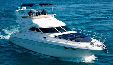 AMERICAN SEA RAY DE 42 PIEDS/ENTIÈREMENT RÉAMÉNAGÉ/12 PERSONNES